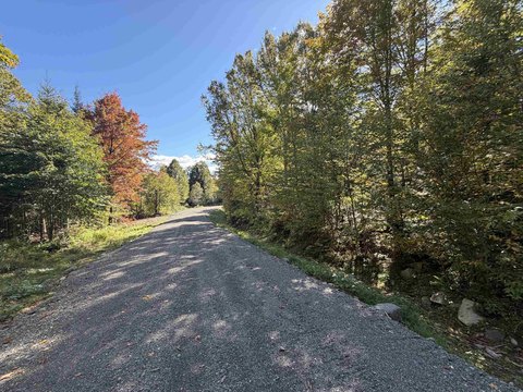 Wooded Recreation Land