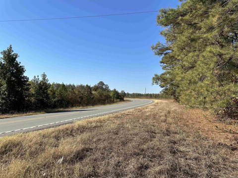 Monticello, AR Timberland Investment