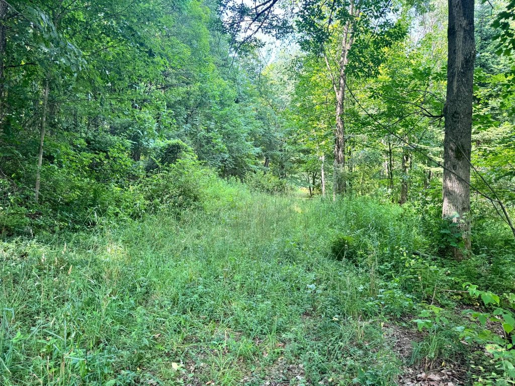 Picture 5