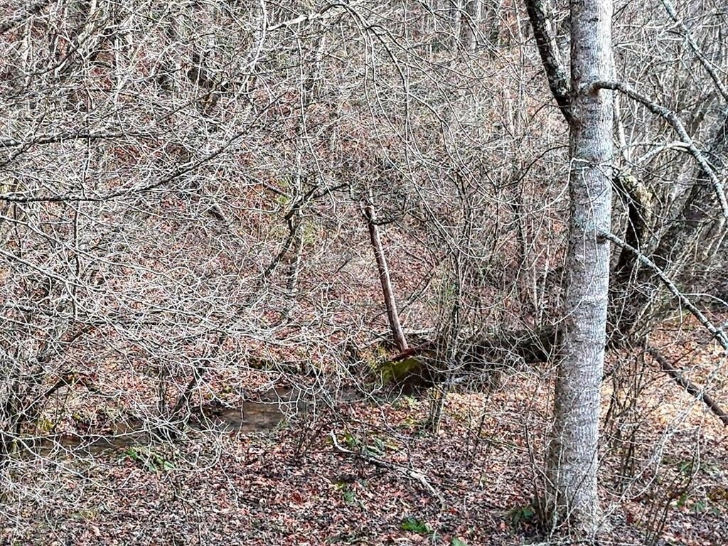 Picture 30