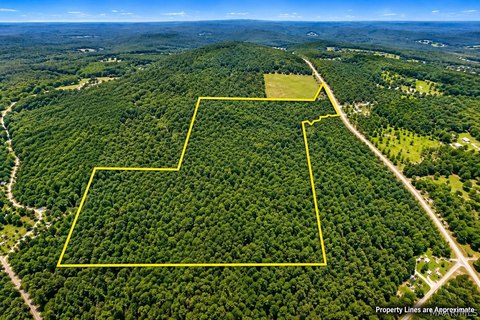 Timbered Land Tract