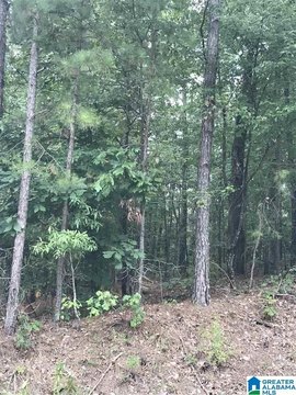 Land Near Alpine Bay Golf