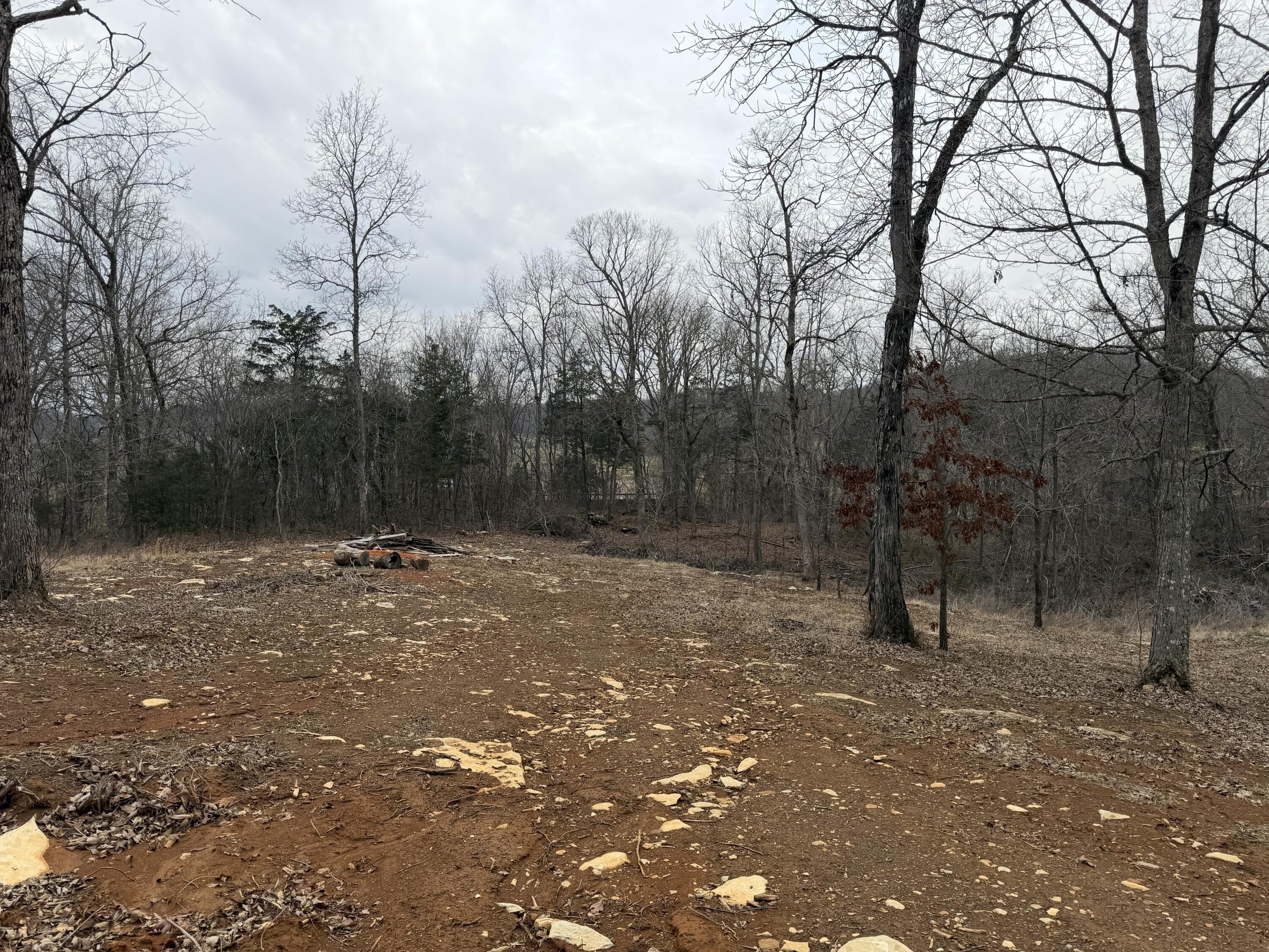 Versatile Land in Mt Vernon