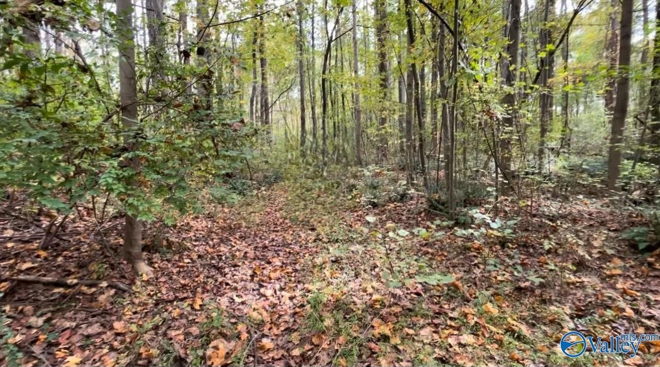Toney, AL Wooded Acreage