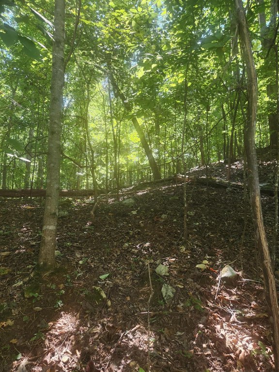 Picture 15