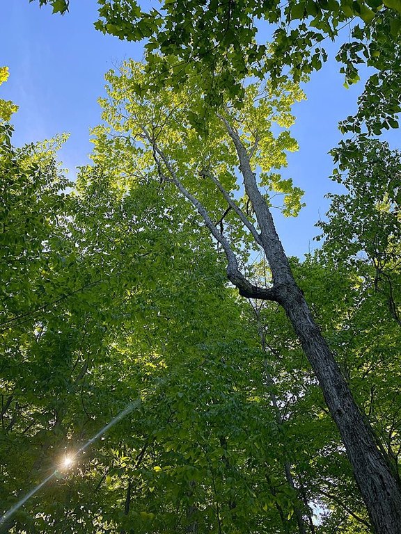 Picture 7
