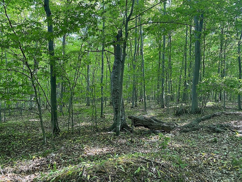 Picture 11