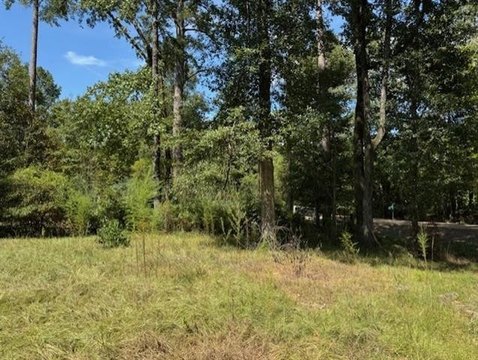 Vacant Land, Holden, LA