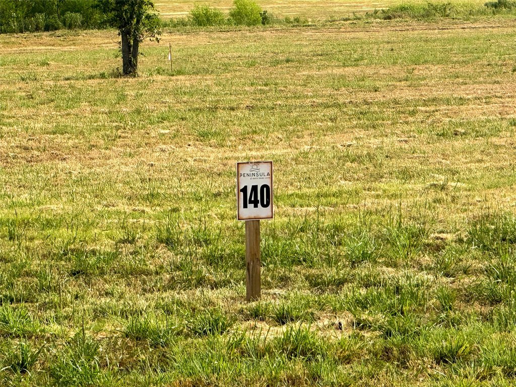 Picture 20