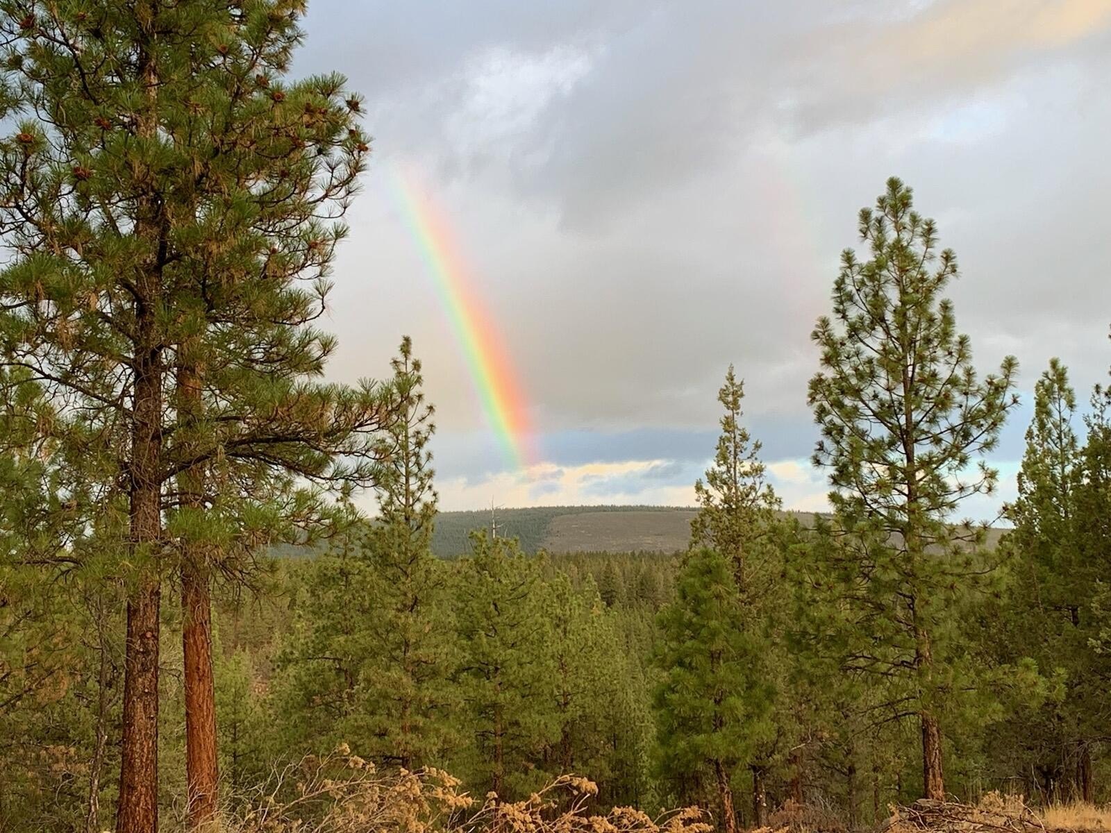 156 Acre Private Land Parcel