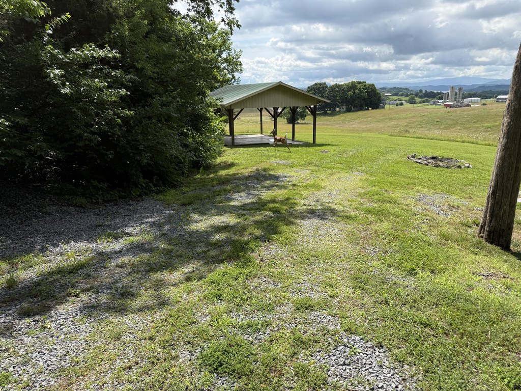 Picture 18
