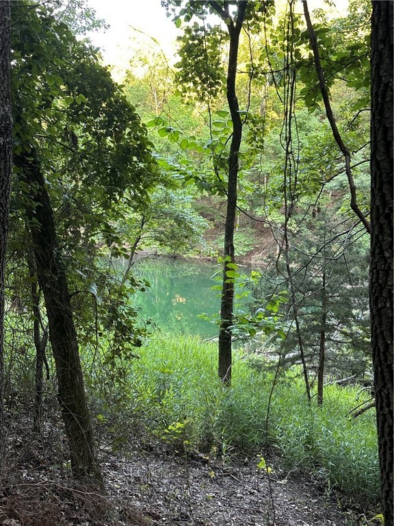 Picture 8