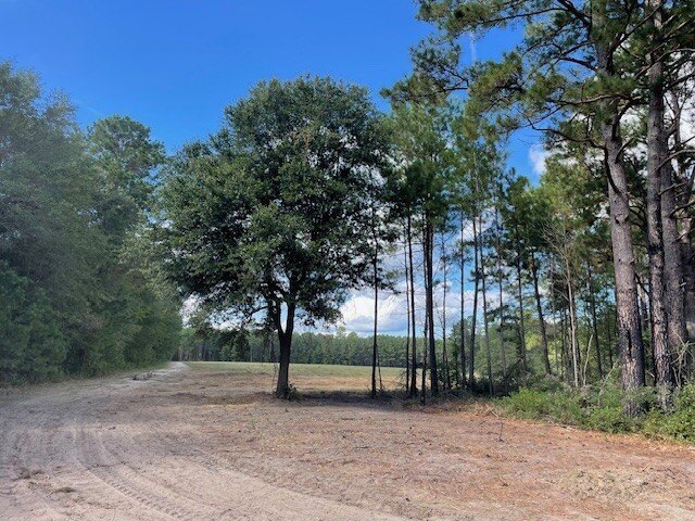 Cross, SC Vacant Land