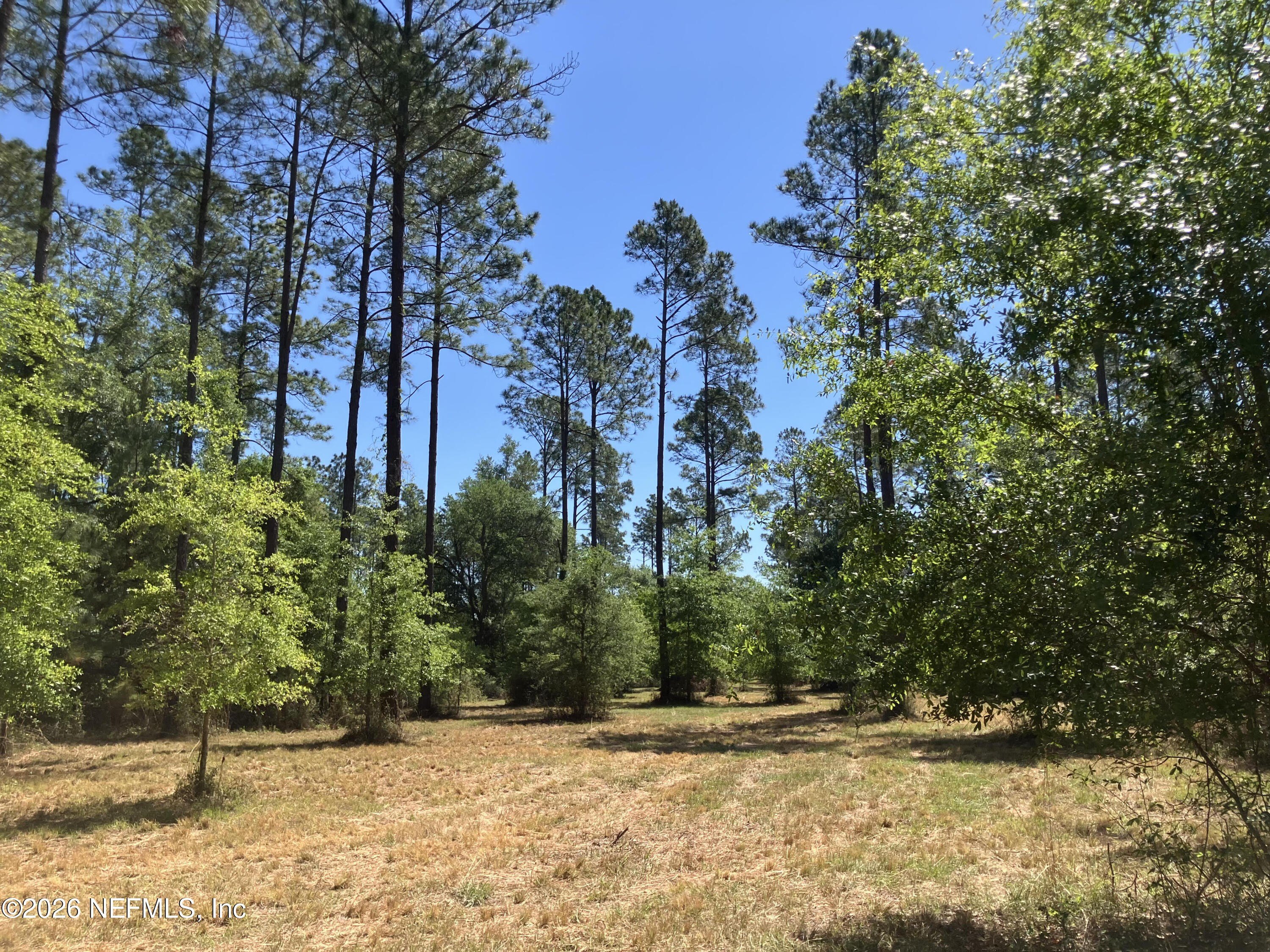 Hilliard Land Near State Forest
