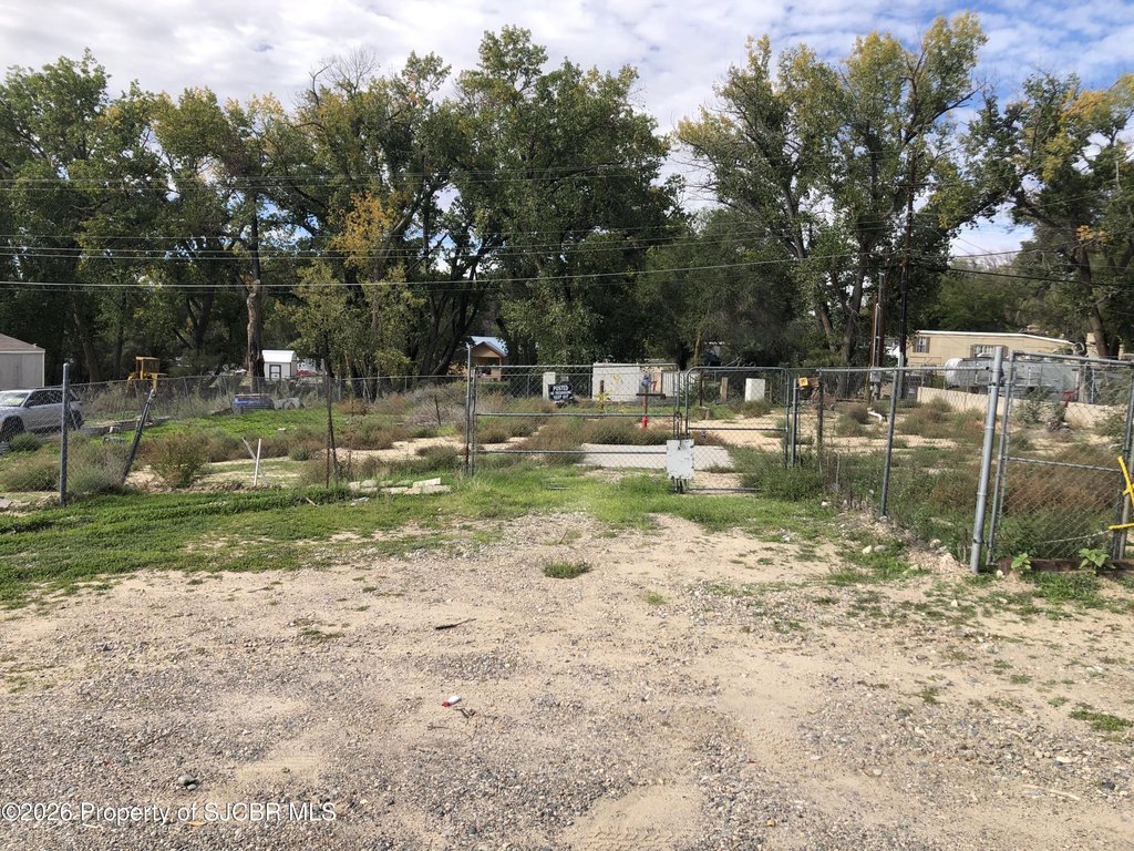 Picture 3