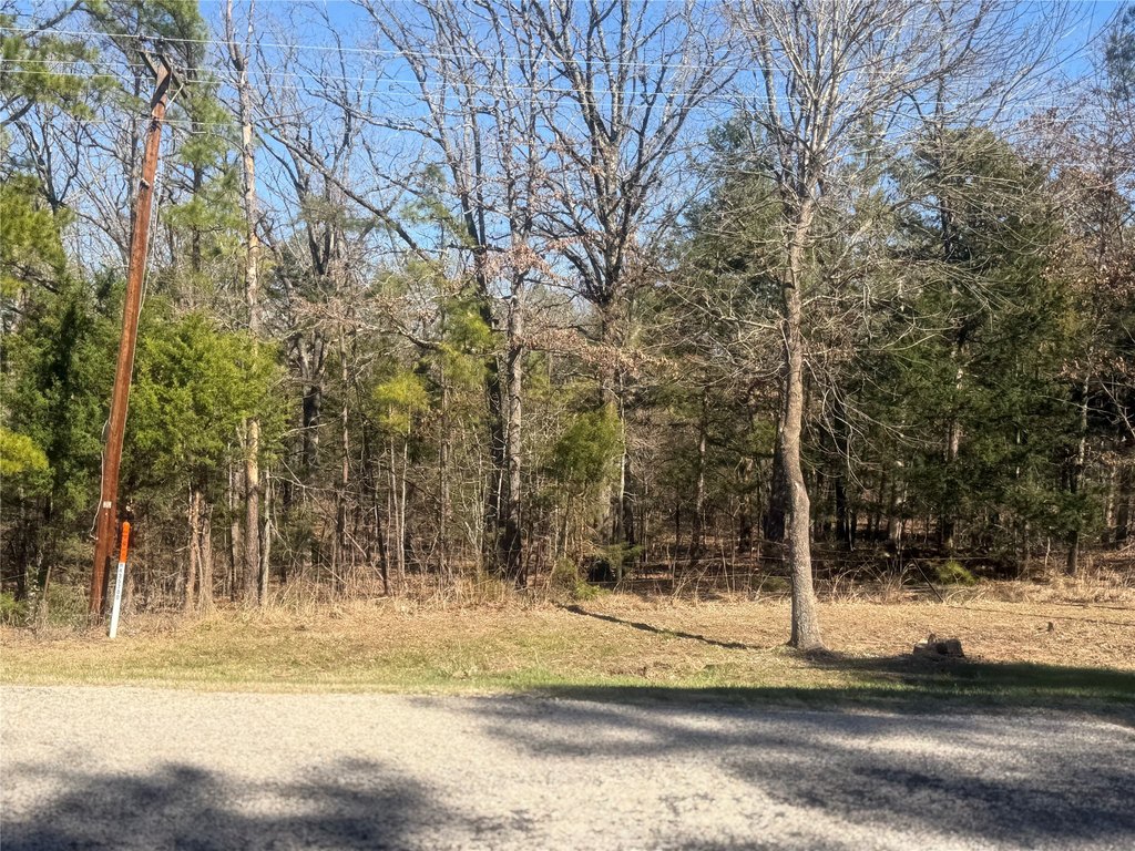 Picture 5