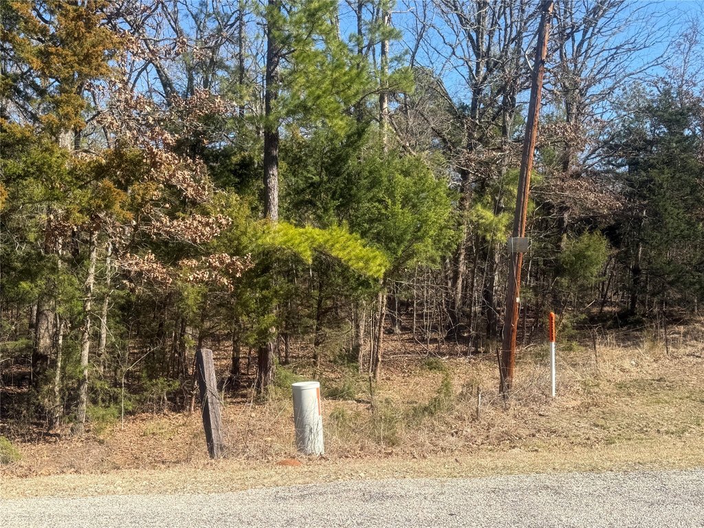 Picture 4