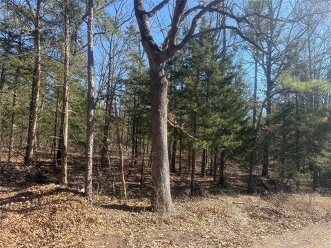 Corner Homesite Near Pat Mayse