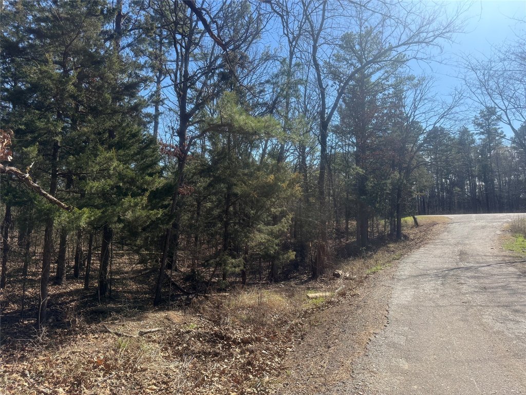 Picture 3