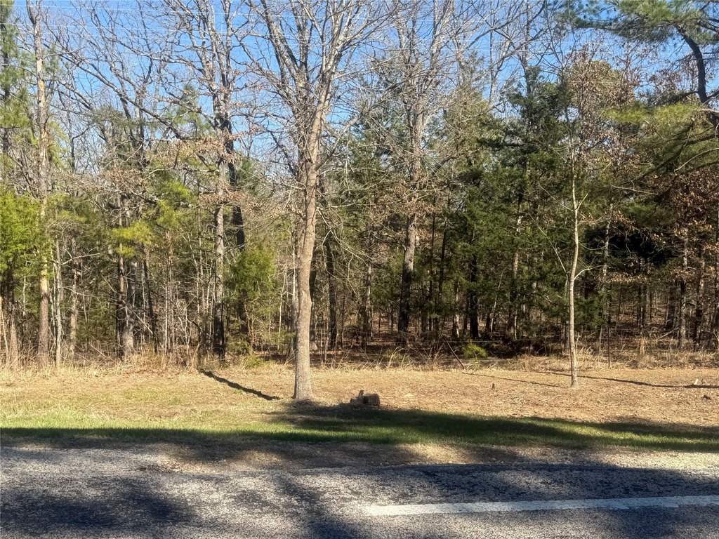 Picture 6
