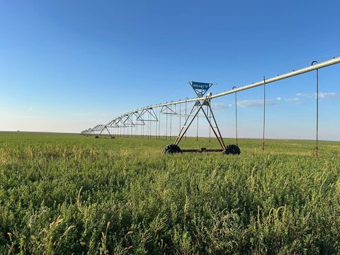 Irrigated Farmland Tract