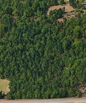 Macon Land with Development Potential