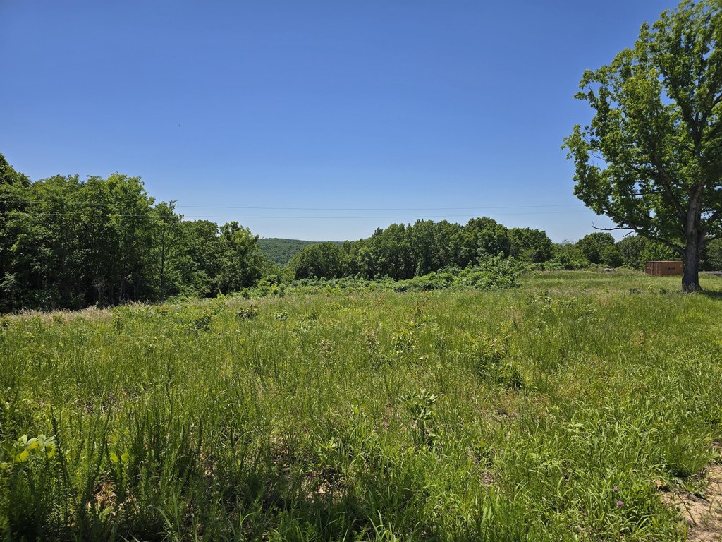 Picture 16