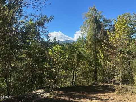Sevierville Land with Mountain Views