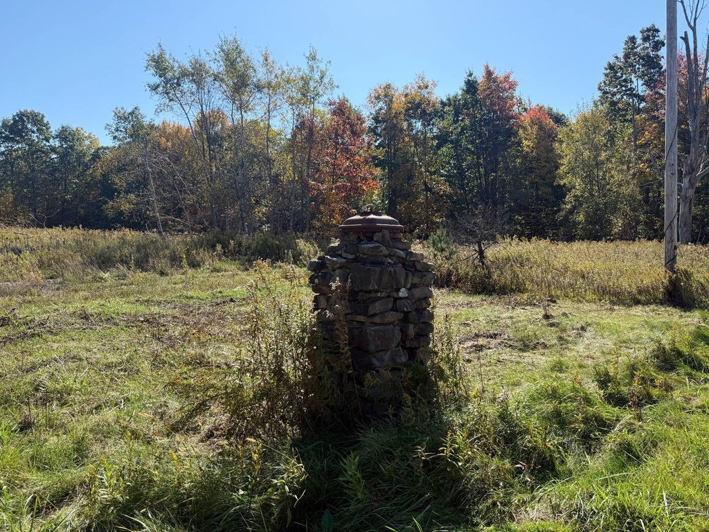 Picture 19