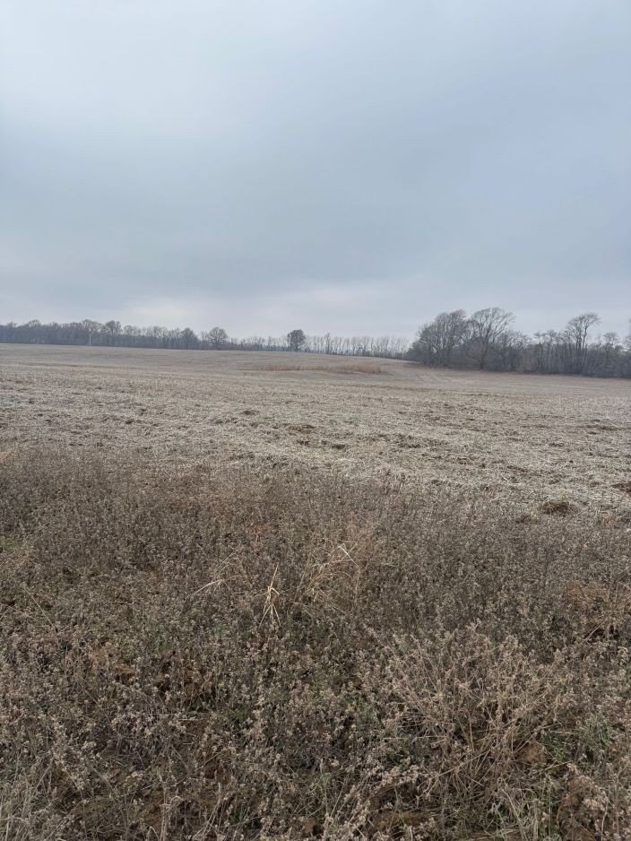 Prime Farmland in Dexter, Missouri