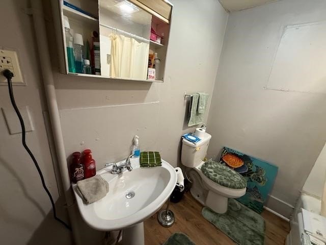 Picture 8