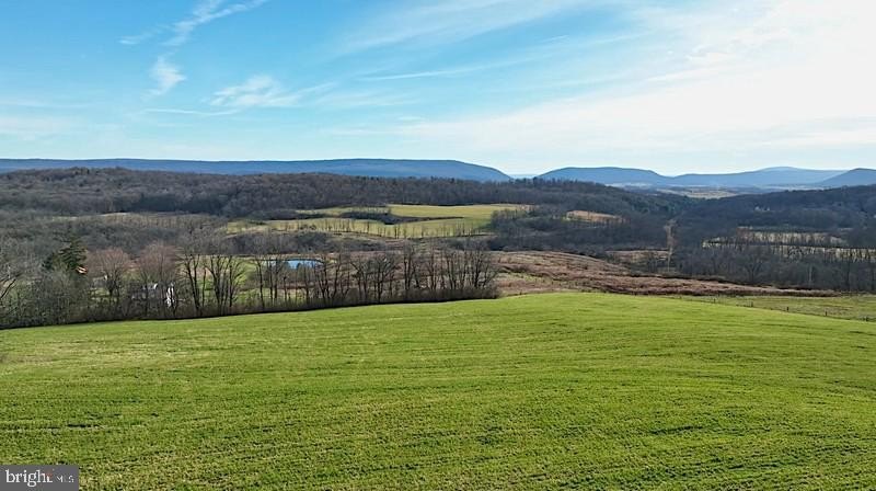 Picturesque 13-Acre Land Parcel