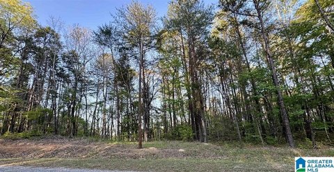 LAND/LOTS, CALERA, AL