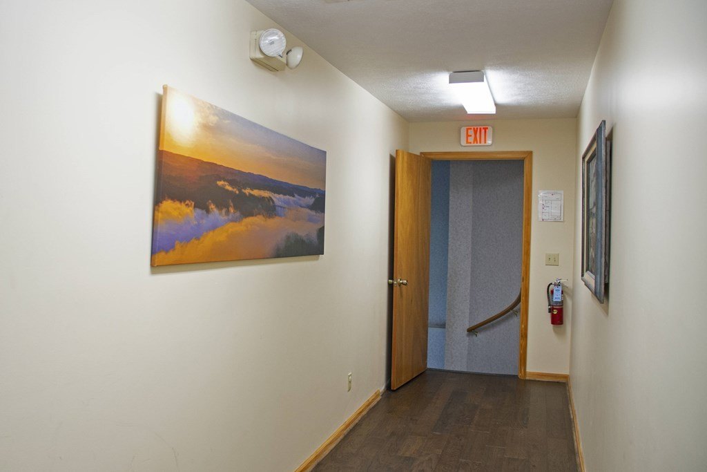 Picture 52