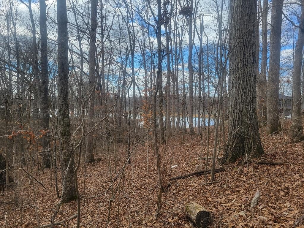 Waterfront Land in Bumpus Mills