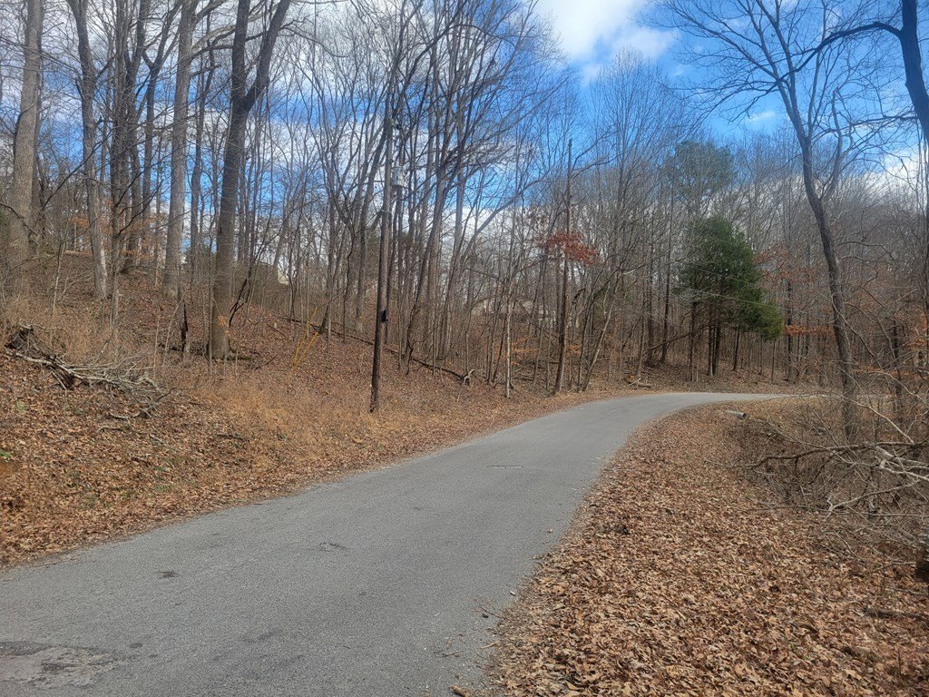 Picture 3
