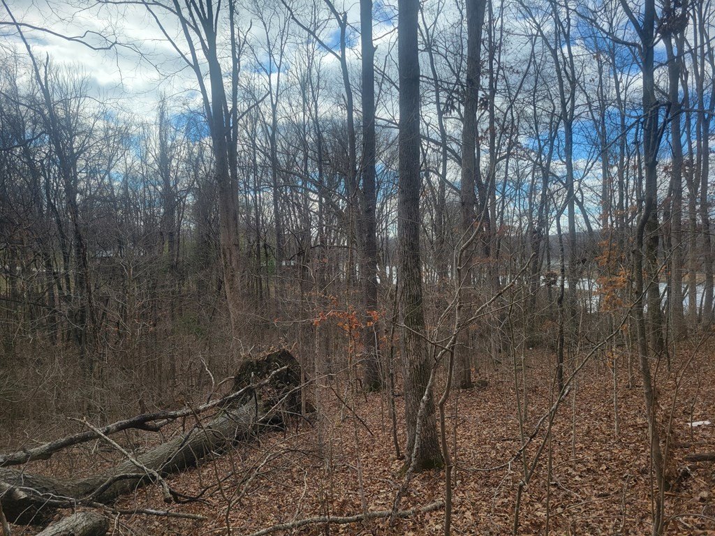 Picture 5