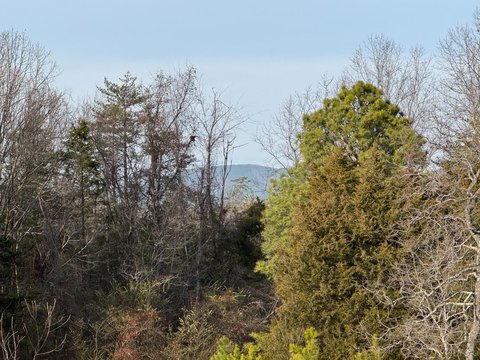 Appomattox Land with Mountain Views