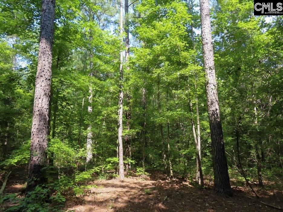 Picture 31