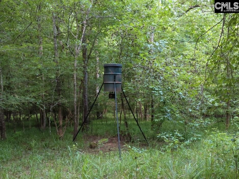 Picture 9