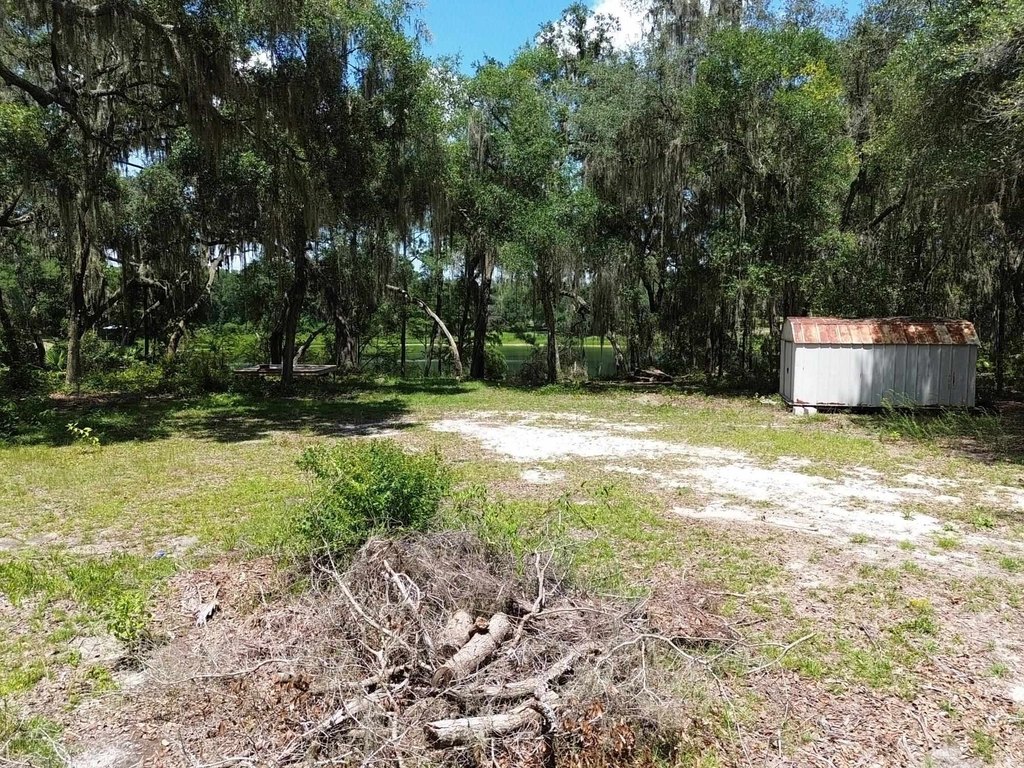 Picture 19