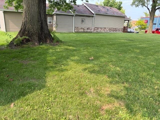 Picture 19