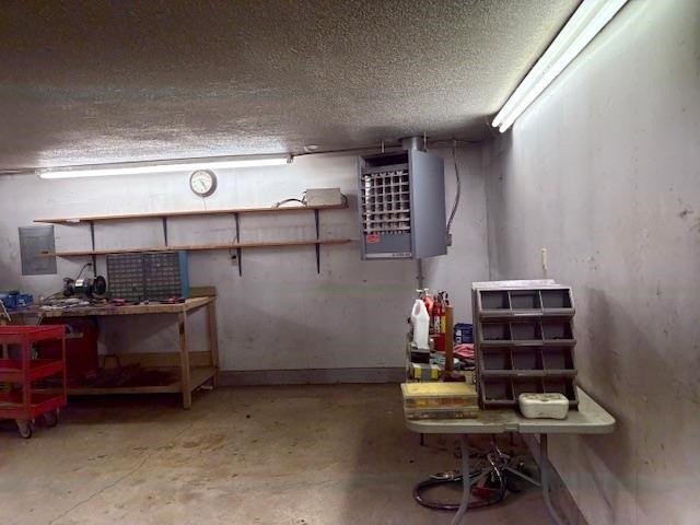 Picture 8