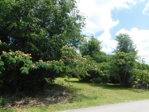 Buildable Lot Near Downtown Ocala