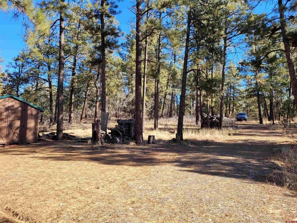 Picture 16