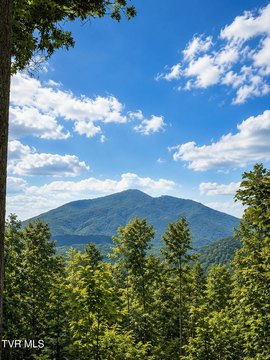 Partially Wooded Recreational Tract
