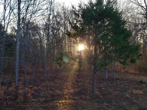 Lindale, TX Rural Acreage