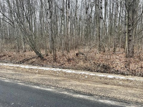 Massena Land for Sale