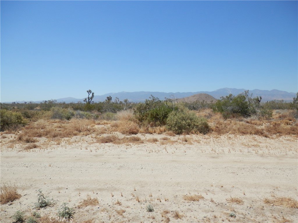 Picture 2