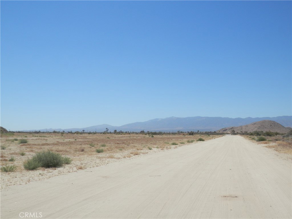 Picture 7